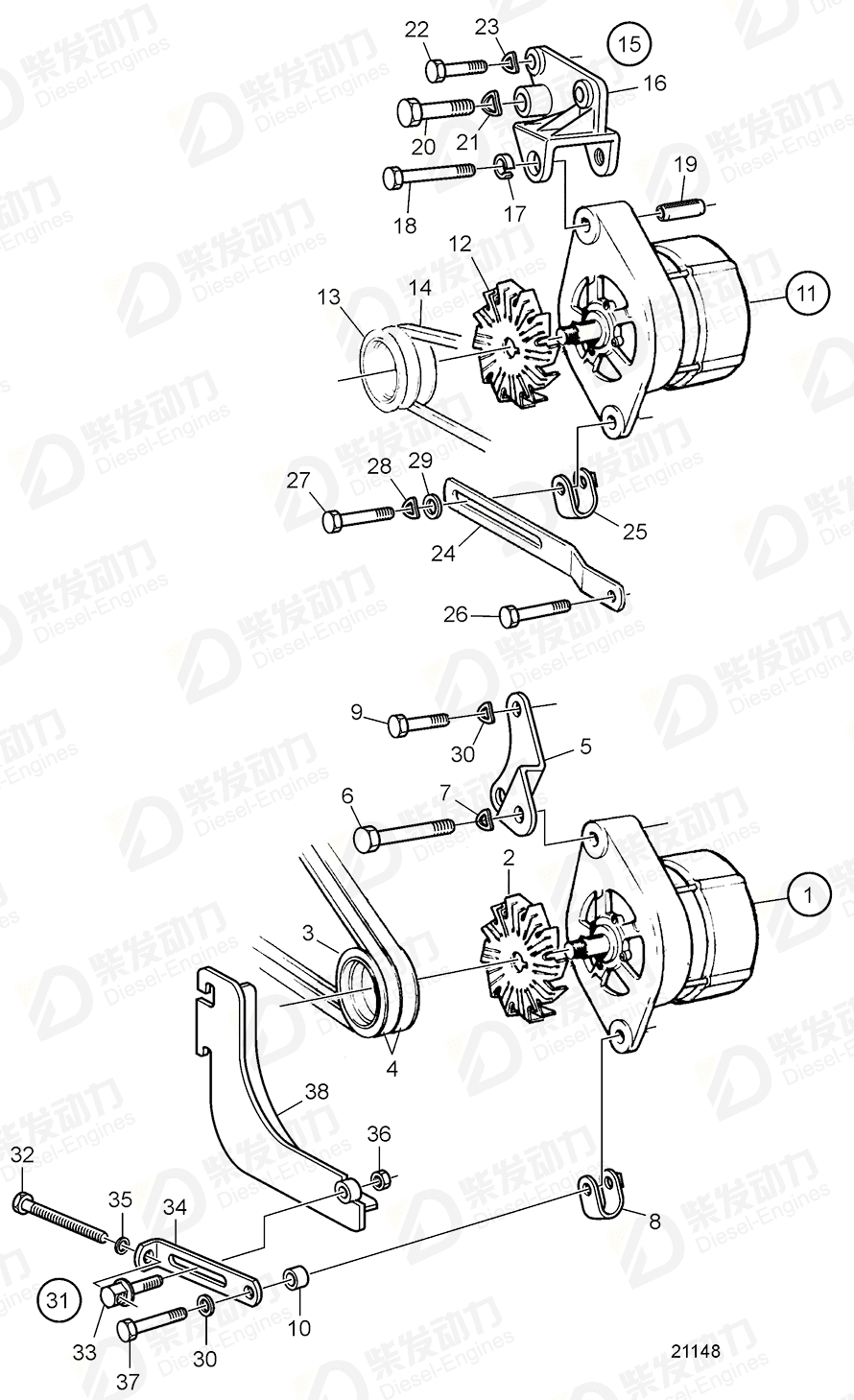 VOLVO V-belt 978552 Drawing